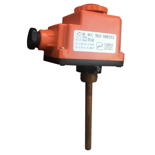 ترموستات مستغرق